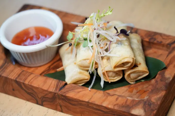 Vietnamese Vegan Spring Rolls